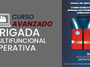 curso brigada multifuncional operativa stps dc3 mexico 2.png