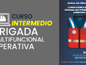 curso brigada multifuncional operativa stps dc3 mexico 3.png