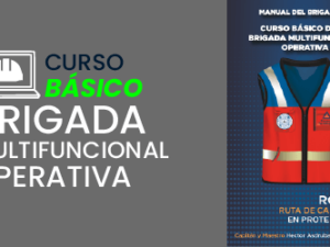 curso brigada multifuncional operativa stps dc3 mexico.png