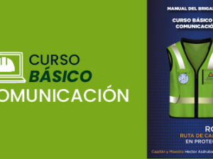 curso comunicacion stps dc3 mexico.png