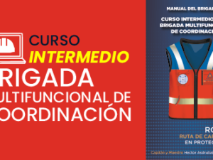 curso online brigada multifuncional de coordinacion stps dc3 mexico 2.png