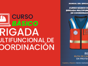 curso online brigada multifuncional de coordinacion stps dc3 mexico 3.png