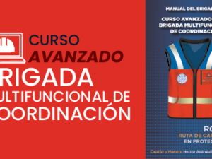 curso online brigada multifuncional de coordinacion stps dc3 mexico.png