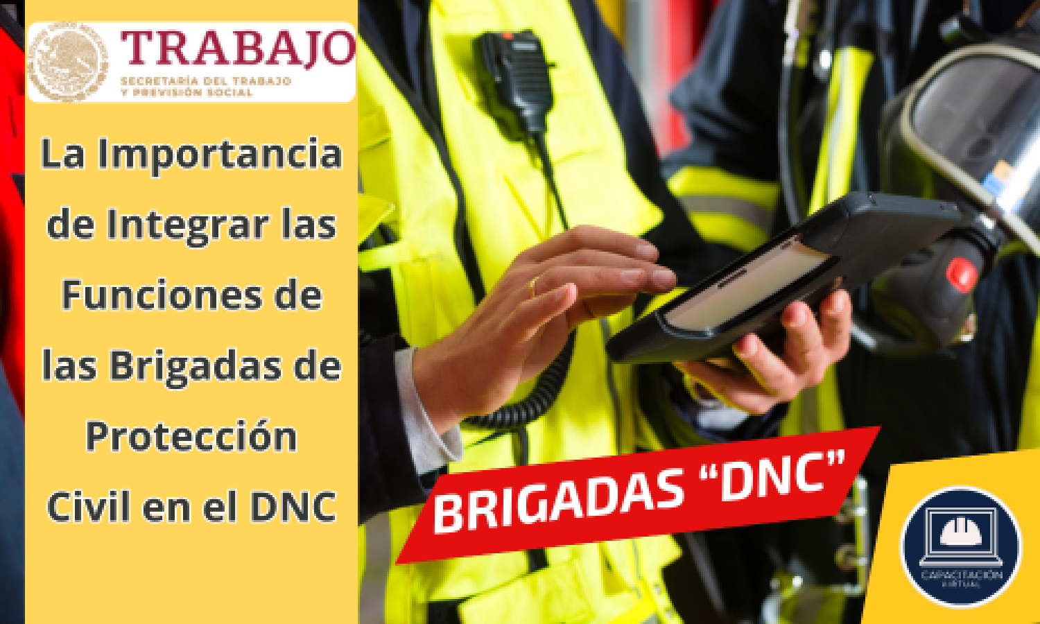 02 MINIATURA DIAGNOSTICO BRIGADAS